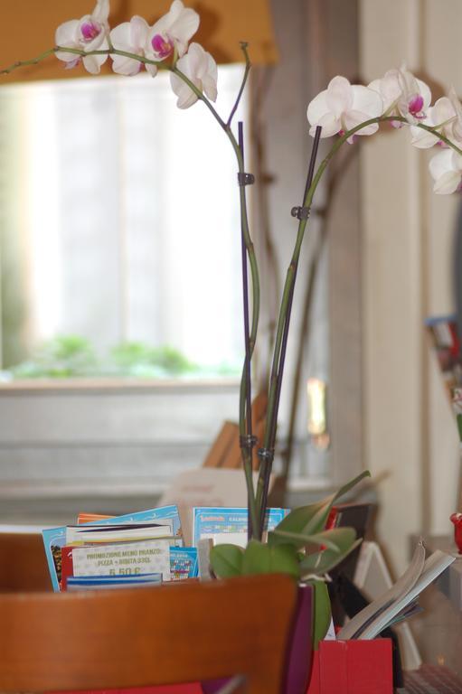 La Rosa Scarlatta Διαμέρισμα Μπέργκαμο Εξωτερικό φωτογραφία